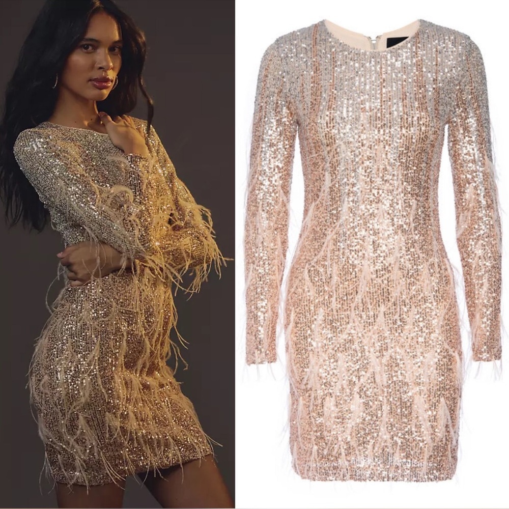 Le Superbe Babylon Twiggy Mini
Dress • $545 MSRP • Small NWT